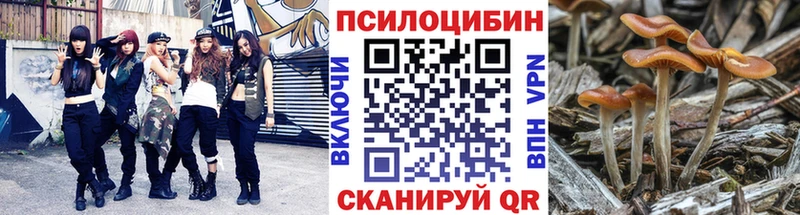 Псилоцибиновые грибы Psilocybe  Юрьев-Польский 