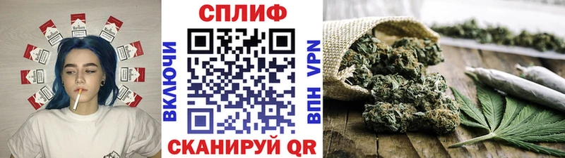 Канабис семена  Юрьев-Польский 